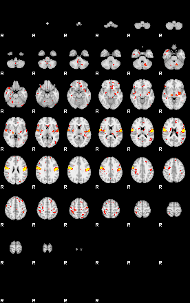 Patient:73;component:96