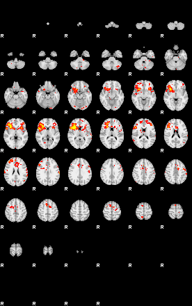 Patient:74;component:151