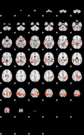 Patient:74;component:21