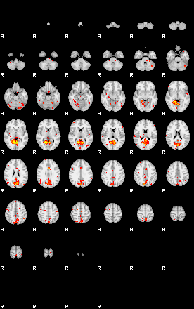 Patient:74;component:29