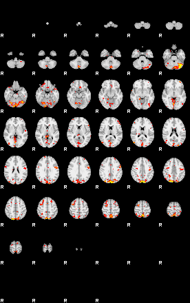 Patient:74;component:31