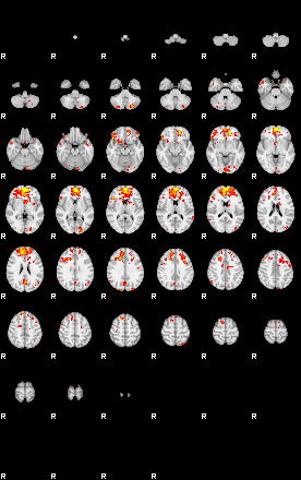 Patient:74;component:49