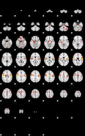 Patient:74;component:96