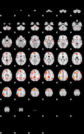 Patient:75;component:110