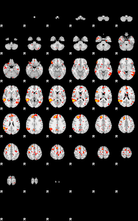 Patient:75;component:131