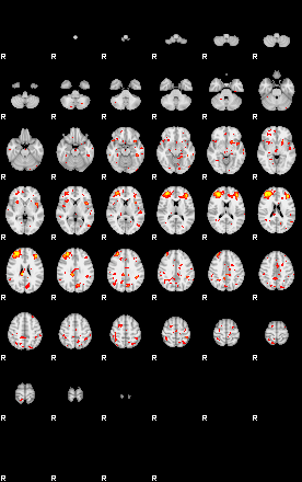 Patient:75;component:146