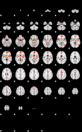 Patient:75;component:149