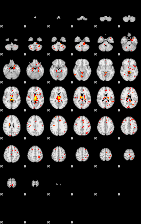 Patient:75;component:167