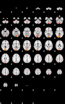 Patient:75;component:172