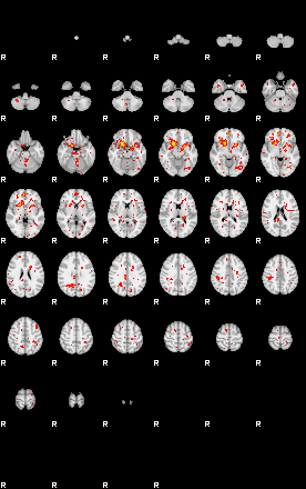 Patient:75;component:27