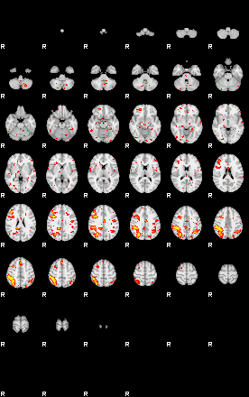 Patient:75;component:36