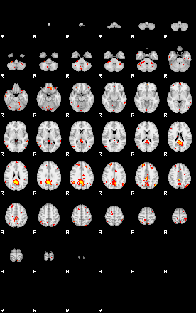 Patient:76;component:106