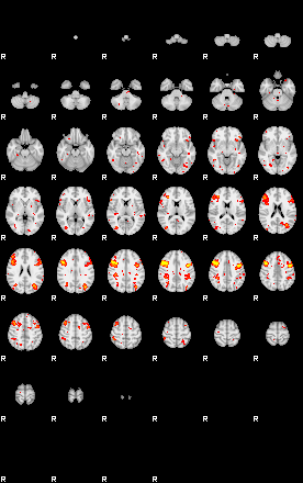 Patient:76;component:119