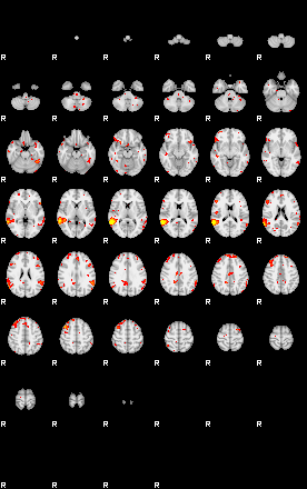 Patient:76;component:131