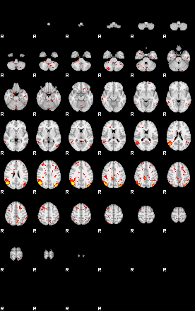 Patient:76;component:142