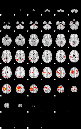 Patient:76;component:178