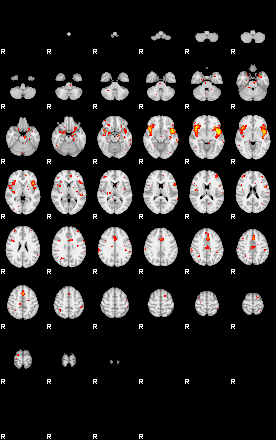 Patient:76;component:195