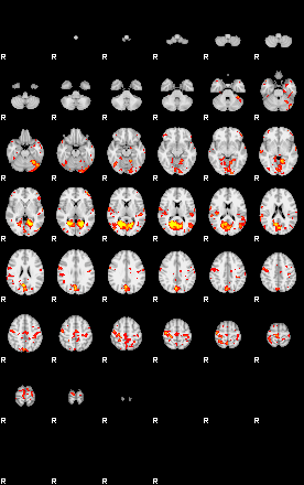 Patient:76;component:29