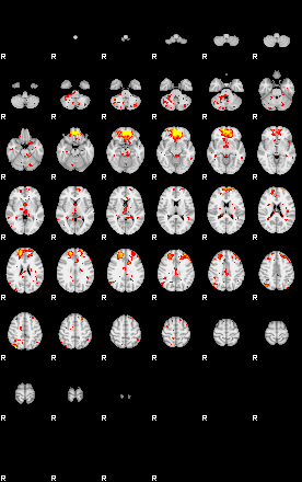 Patient:76;component:48