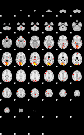 Patient:77;component:102