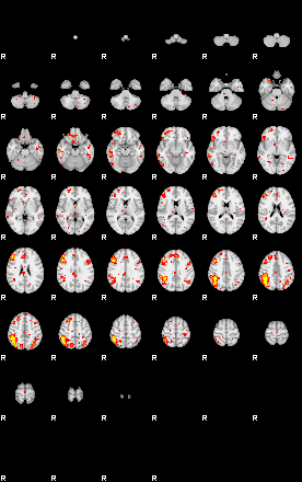 Patient:77;component:119