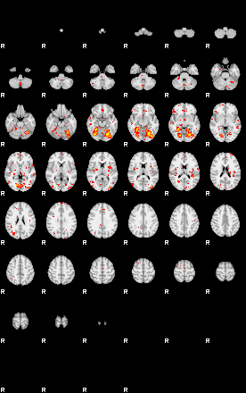 Patient:77;component:126