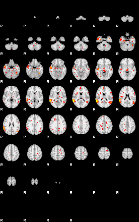 Patient:77;component:131