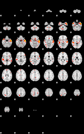 Patient:77;component:137