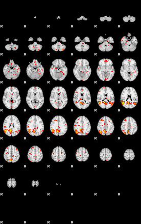 Patient:77;component:142