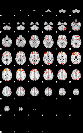 Patient:77;component:146