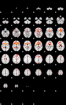 Patient:77;component:153