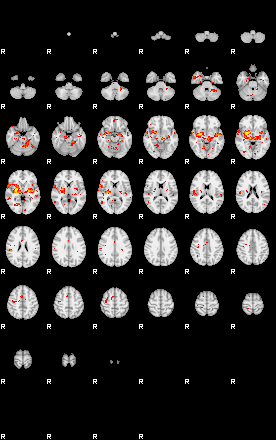 Patient:77;component:159