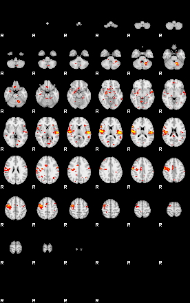 Patient:77;component:169