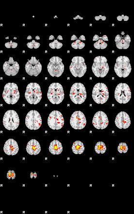 Patient:77;component:173