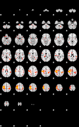 Patient:77;component:178