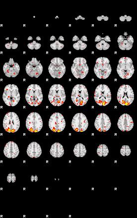 Patient:77;component:182