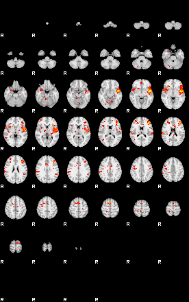 Patient:77;component:195