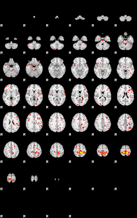 Patient:77;component:55