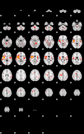 Patient:77;component:58