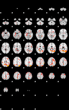 Patient:77;component:80