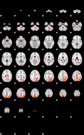 Patient:77;component:91