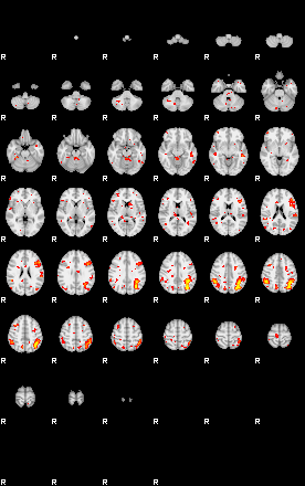 Patient:7;component:109