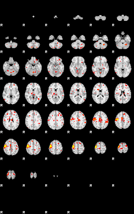 Patient:7;component:12