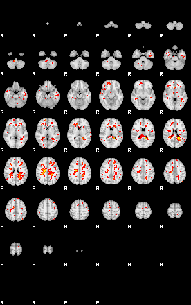 Patient:7;component:20