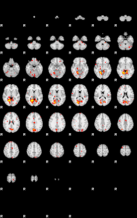 Patient:7;component:29