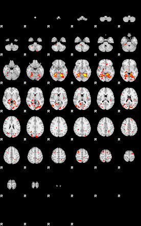 Patient:7;component:69