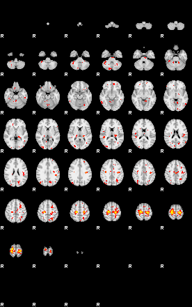 Patient:8;component:104