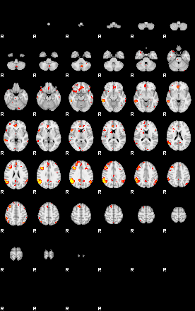 Patient:8;component:119