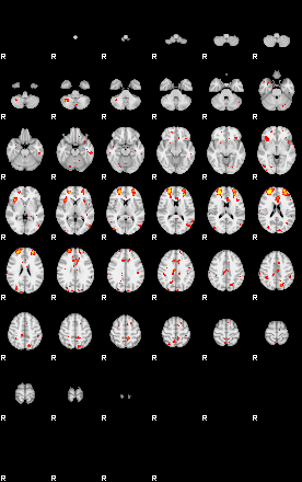 Patient:8;component:146