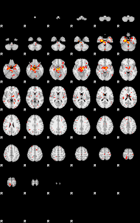 Patient:8;component:160